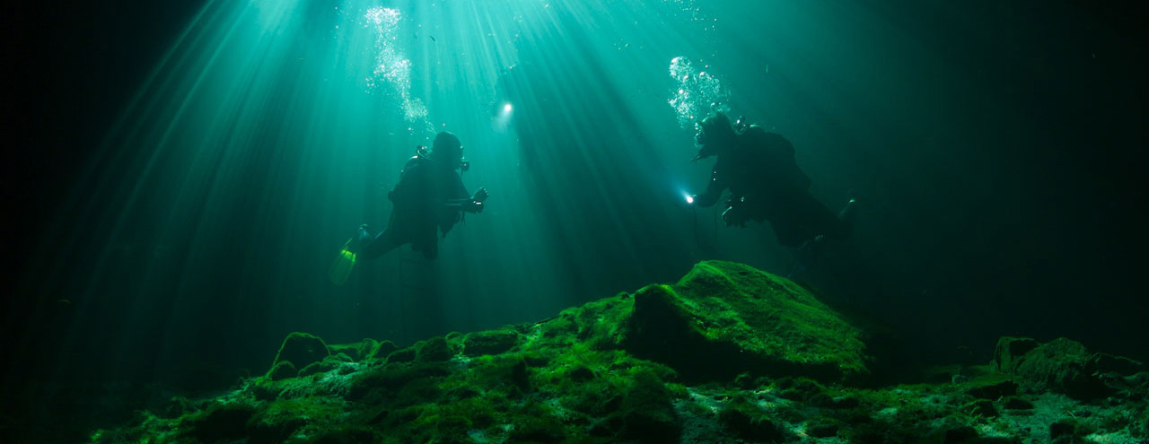 Diving in the Caribbean and Cenote.