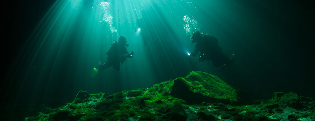 Buceo en el Caribe y Cenote.